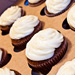 Boxed Carrot Cupcakes